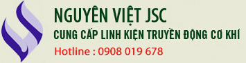 Nguyên Việt JSC